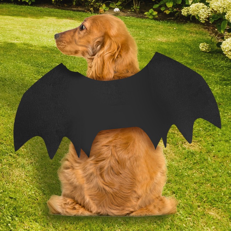 Gustach Bat Wings for Dogs, Dog Bat Costume, Dog Bat