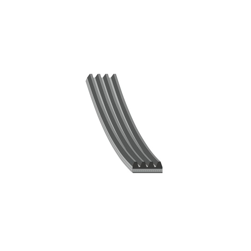 febi bilstein 28783 auxiliary belt - Pack of 1