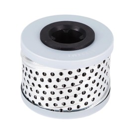 Pasurmu 87904M1 Hydraulic Filter Compatible with Paccar PX6 PX-6 PX-7 PX8 MX11 MX13 Engine Replaces P87904M NA1 FG87904M 1698964C91 698964C92 583987904M