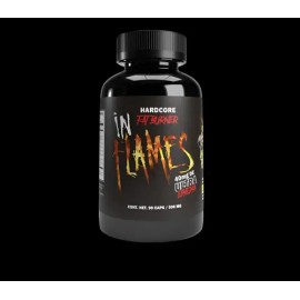 Adictos Al Gym In Flames Quemador De Grasa 90 Caps                                                                                                    