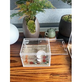 insect breeding box Reptile Feeding Box, waterproof Enclosure enclosure for arboreal Tarantula Scorpion Sling Lizards Snake Gecko jumping spider snail Isopods (3.9 * 3.3 * 2.3inch)