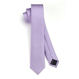 HISDERN Men's Tie Purple Skinny Neckties For Men Classic Silk Wedding Ties Formal Slim Neck Tie with Box (6cm