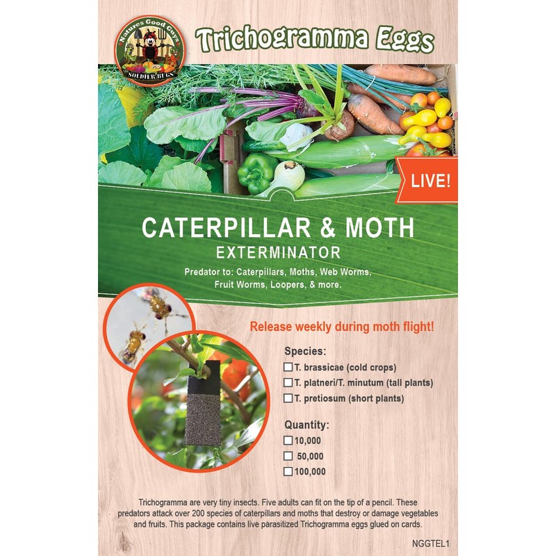 Natures Good Guys - Trichogramma Eggs on Hanging Cards (30