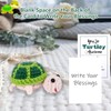 Positive Turtle with Affirmation Card, Crochet for Turtle Lovers, Funny