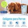 Altapets Colágeno para Perros - Premium Mobility Perro, Orgánico -