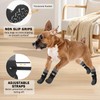 SCENEREAL Dog Socks to Prevent Licking Paws for Hardwood Floors,