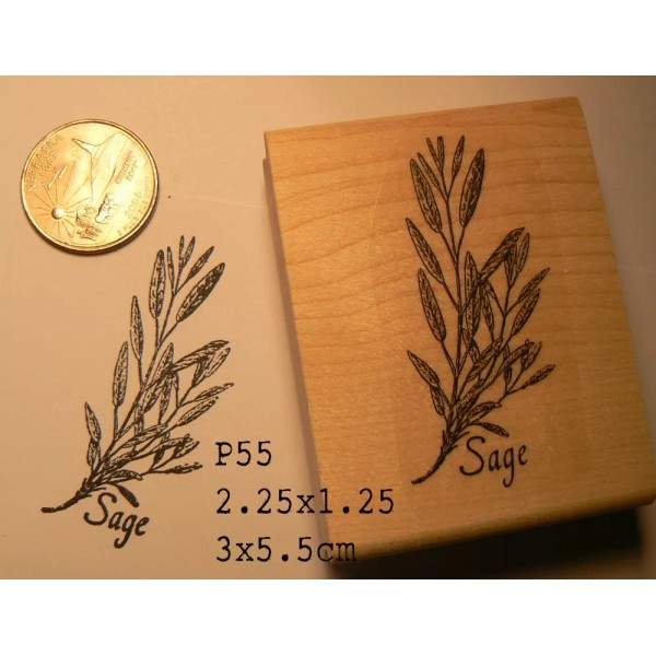 Dragonflylaser Sage herb plant rubber stamp WM P55