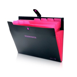 Accordion Aesthetic Binder, Letter Size with 8 Compartments/Snap Closure/Tab Folder for Important Documents, Cute, File Envelopes, Expandable Expanding File Folder (Black)