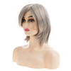 Baruisi Short Wavy Bob Wig Beige Gray Synthetic Cosplay Replacement
