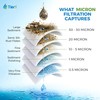 Tier1 5 Micron 6 Inch x 4.5 Inch | Under