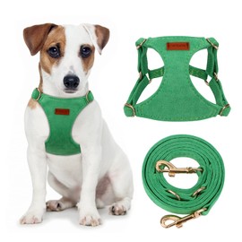CHEDE No Pull Puppy Harness and Multifunction Dog Leash Set- 8 Colors Soft Adjustable No Choke Escape Proof Cute,Lightweight Pet Vest Harness for Small and Medium Dog (M, Green)