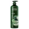 Generic Super Nature Potent Aloe Gentle Moisture Shampoo, 30 Fluid