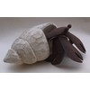 Henry the Hermit Crab Sea Ornament by Shoeless Joe