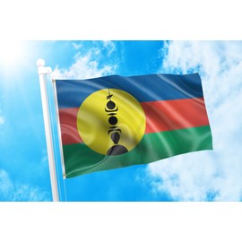 DMSE New Caledonia - Caledonian Flag 3X5 Ft Foot 100% Polyester 100D Flag UV Resistant (3' X 5' Foot)