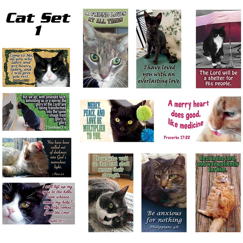 Pet Pass Alongs Scripture Cards Set of 24, 12 unique