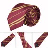 Kavoc 6 Pcs Wizard Costume Include Hat Glasses Scarf Tie