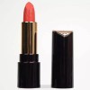 Gita 인기 촉촉 선명한 립 루즈 3.8g BB802 콰이어트코랄 Popular Moisture-Infused Vibrant Lip Rouge 3.8g BB802 Quiet Coral
