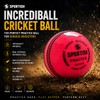 SPORTISH Senior Pink Incrediball Cricket Balls Pack of 3 Soft