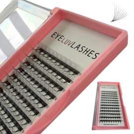 Russian Premade Lashes 8D D Curl 11-14 Mix Length Pre Made Lash Fans Volume Lashes Promade Lash Extensions Pre Made Lash Fans Eyelash Tray (8D 0.07 D Curl 11-14 Mix)