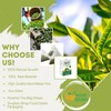 Himalayan Green Tea Organic, 25 Count, Non GMO, Gluten Free,