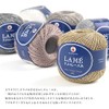 DARUMA Glitter Lace Thread #30 4 (White)