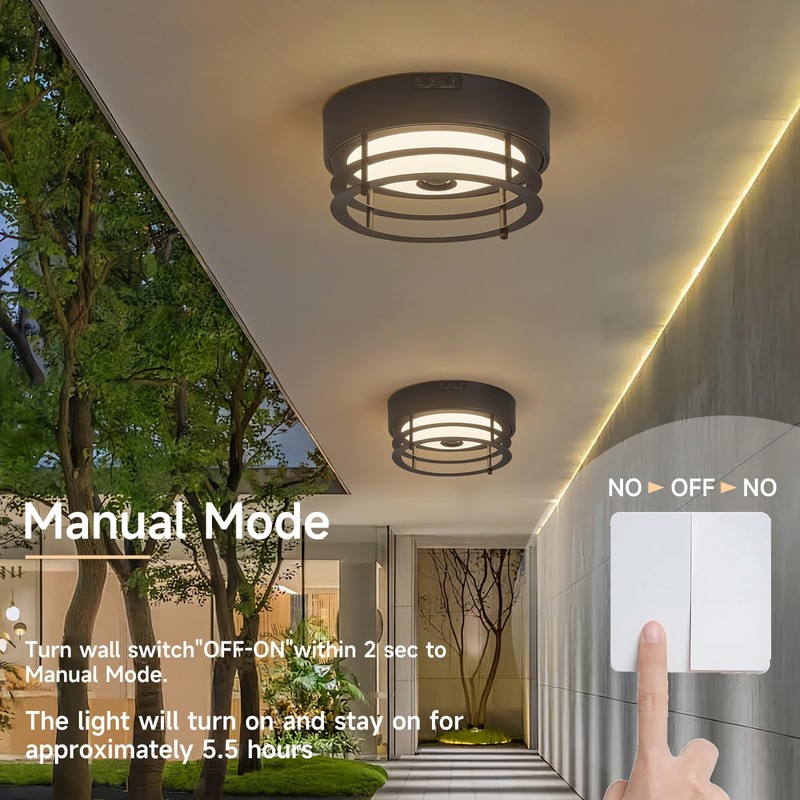 Yisuro Outdoor Ceiling Light with Motion Sensor Flush Mount Farm