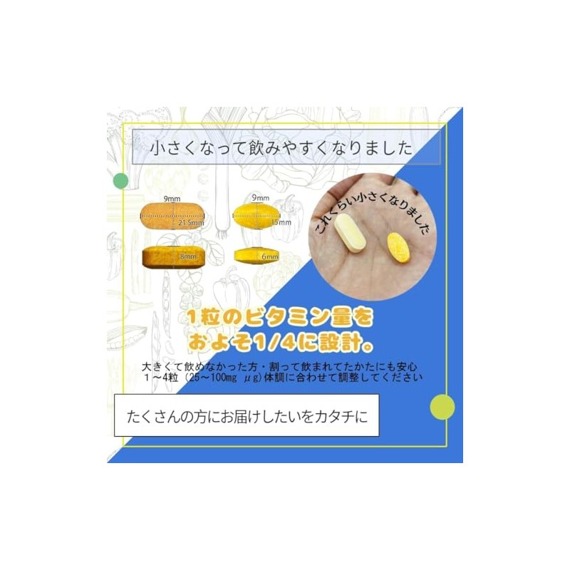 ニューサイエンス ビタミンB+ ビタミンB1 ビタミンB2 ビタミンB6 ビタミンB12 葉酸 酵母 無添加 GMP