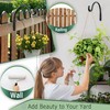 Qiang Ni Hanging Plant Bracket Hooks: 6 Inch Wall Plant
