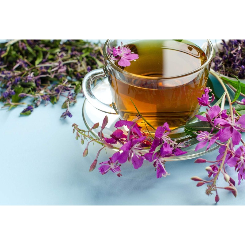 Fireweeds Herb (Epilobium Angustifolium L. - Epilobium Angustifolium Herba) Health