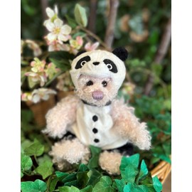 Charlie Bears Pantaloon 2021 Plush Panda Teddy Bear (Removable Outfit) - Collectable Gift - 10 Inch