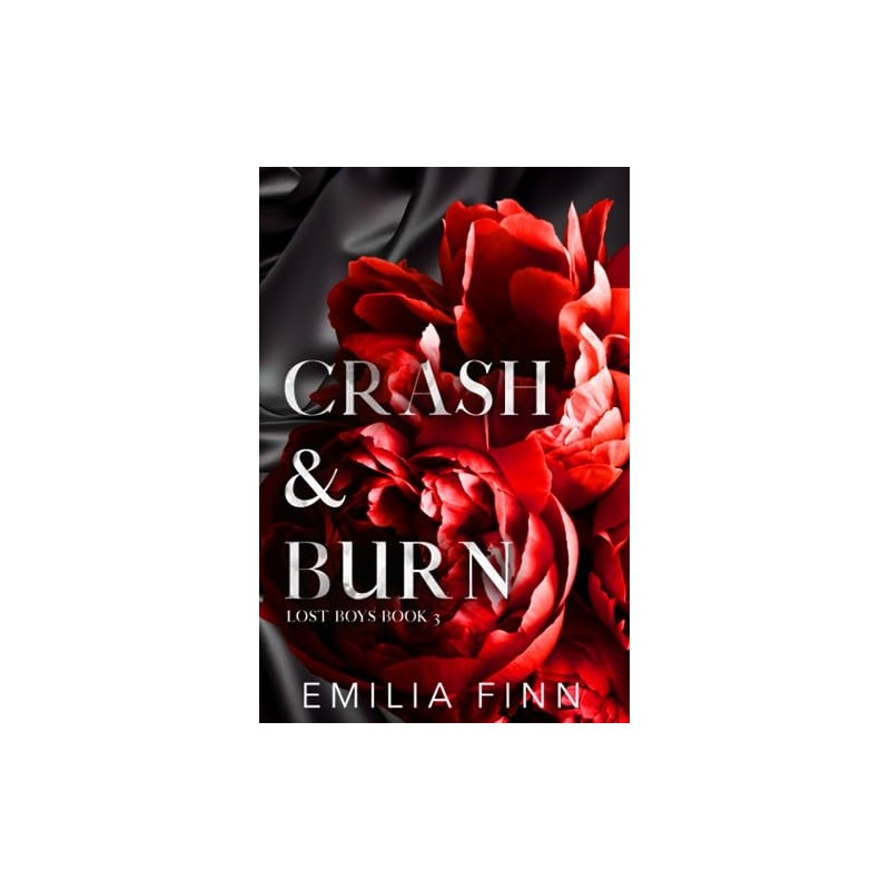 Crash & Burn - Discreet Edition: Lost Boys Book 3