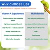 NUTRIARISE Reptile Vitamin A Supplement – Eye Health Support for