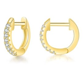 14k Gold Plated Small Gold Zirconia hoop cartilage Earrings for Women/Girls, small gold hoop women, hypoallergenic, age limit 15+