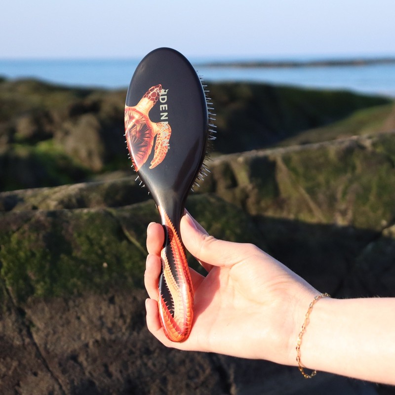 Denman D81M Black Future Dusk Style & Shine Brush