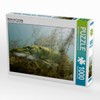 CALVENDO Puzzle Master of Camouflage 1000 Pieces Laying Size 64