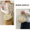 AWUXINE Straw Clutch Purse for Women Cloud Dumpling Pouch Beach