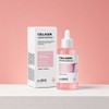 Santte Collagen Leader Ampoule 100ml Highly Concentrated Peptide Nutrition /