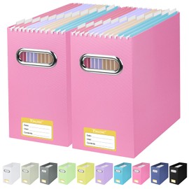 BALEINE File Organizer Box, Cardboard File Folder Organizer with Handle for Letter Size, Portable Collapsible Hanging Filing Box for Home Office Document Storage (2 Pack, Pink)