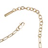 Alex and Ani Paperclip Charm & Layering Necklace
