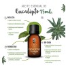 Aceite Esencial De Eucalipto 100% Puro Y Orgánico 15ml