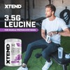 Xtend XTEND Original BCAA Powder 7g BCAA and 2.5g L-Glutamine,