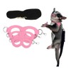 Sugar Gliders Harness Leash Set, 3 Pack Harness and Leash