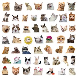 Funny Cats Stickers 50 Pack Laptop Stickers,Vinyl Waterproof Stickers for Water Bottles Skateboard Scrapbook Bike Computer,Phone,-Graffiti Stickers Pack for Teens Girls Kids Adults(Cats)