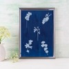 WEBEEDY Cyanotype Kit Flowers Cyanotype Sun Art Papers Set High