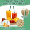 Sukh 100 Pcs Individually Wrapped Straws - Green Plastic Straws