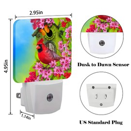 FSHVQKD Red Cardinal Night Light,Plug-in Night Lights with Dusk to Dawn Sensor for Stairway,Hallway,Bedroom Sleep Friendly Ideal for Women/Girls/Boys Gift,0.5w