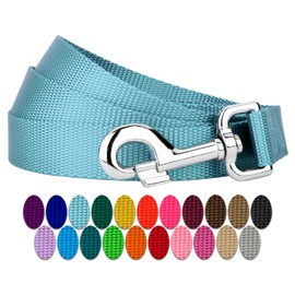 Country Brook Petz 1" Wide Heavy-Duty Nylon Leash for Dogs - Traditional Style Durable Leash with Easy-to-Use Snap - Made in The USA, Ocean Blue, 6 Foot