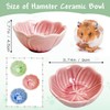 BNOSDM 2 Pcs Hamster Ceramic Food Bowl Flower Series Gerbil