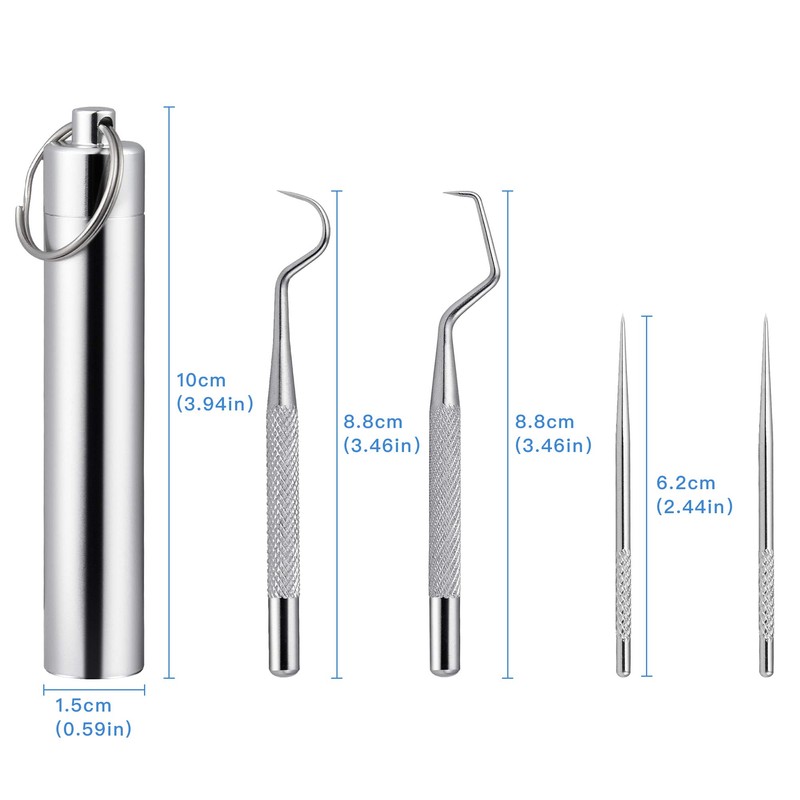 Worldity 5Pcs Reusable Toothpick, Portable Metal Toothpick, Professional Teeth Cleaning