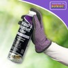 Bonide Chemical 631 Wasp and Hornet Spray